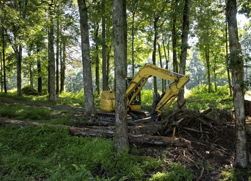 Bushes Clearing in Atlanta, GA