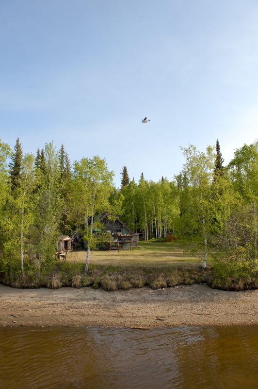 What’s Involved In Professional Land Clearing?